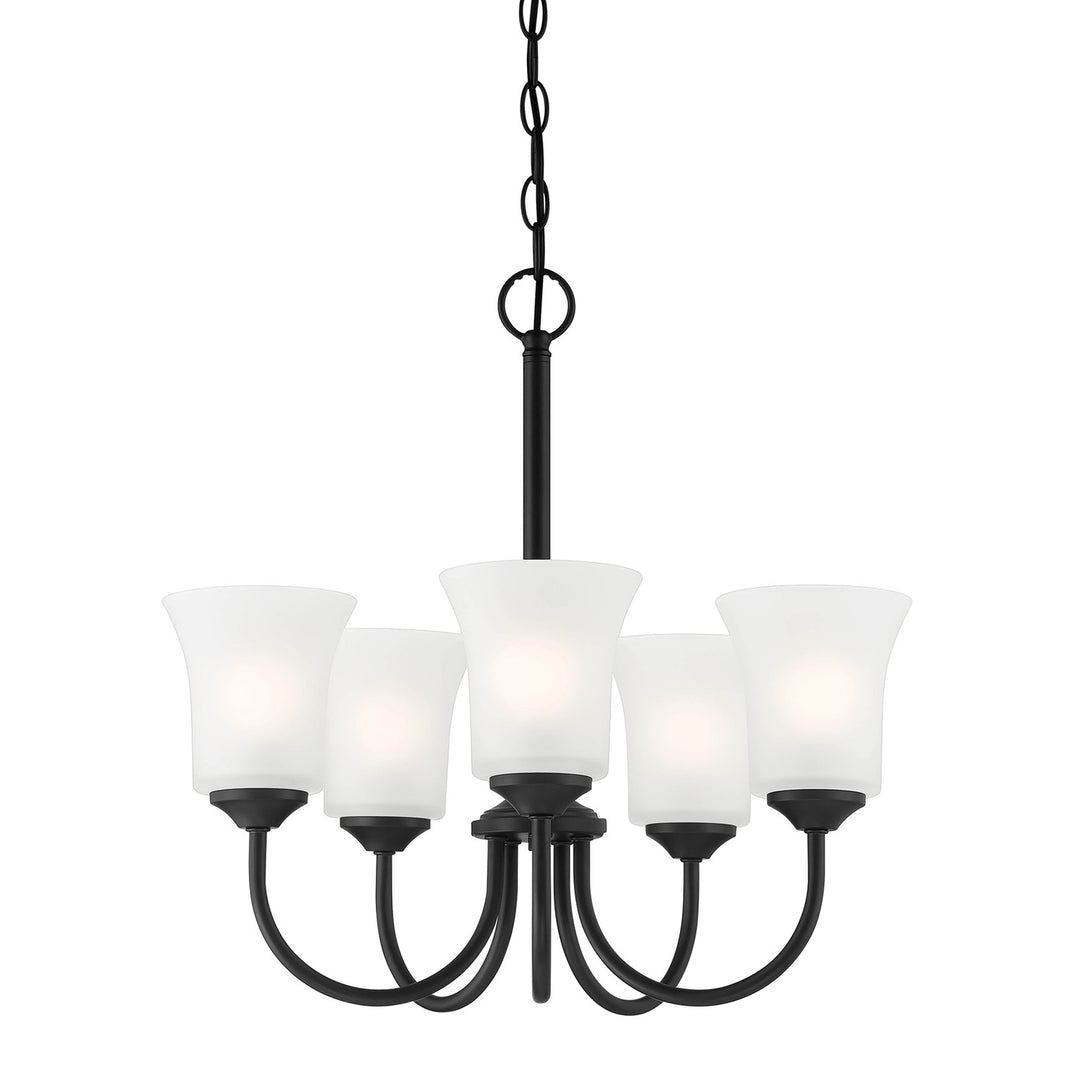 5 Light Chandelier by Designers Fountain