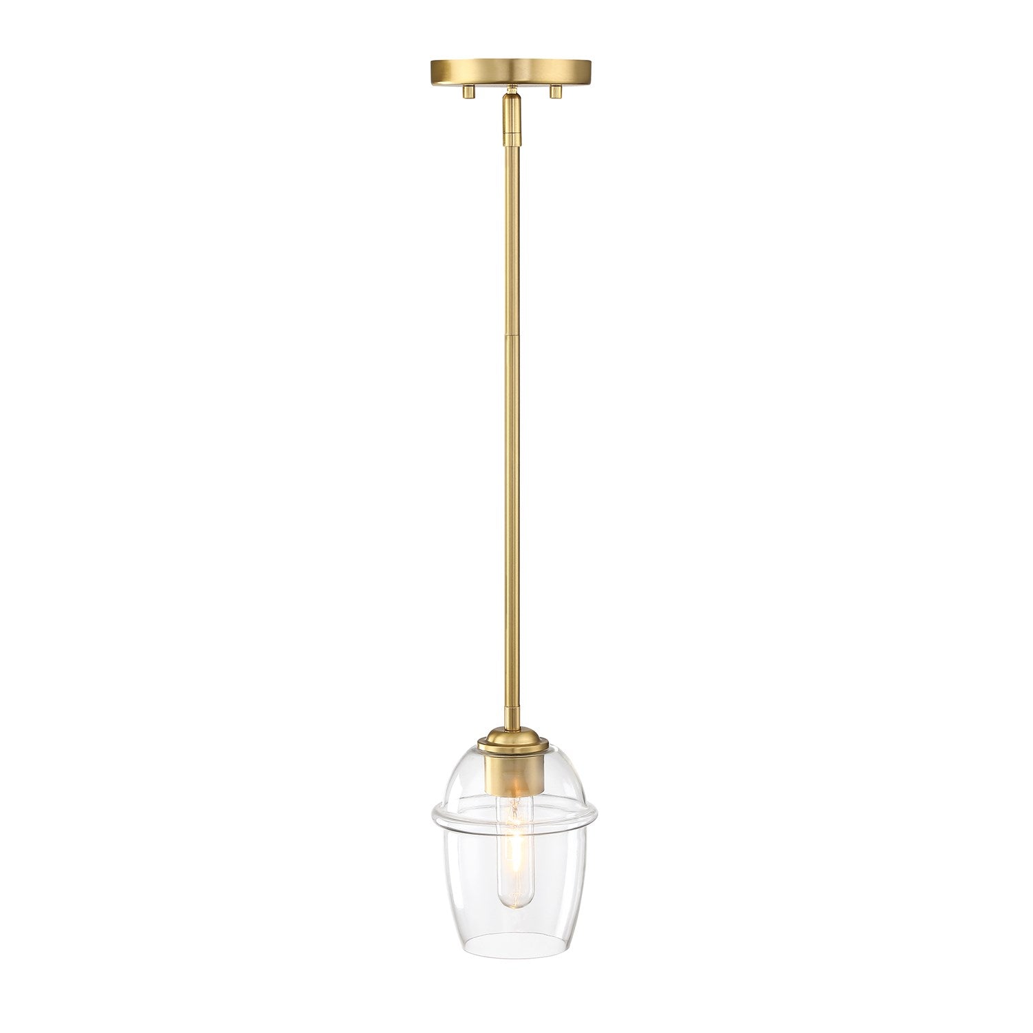 1 Light Pendant