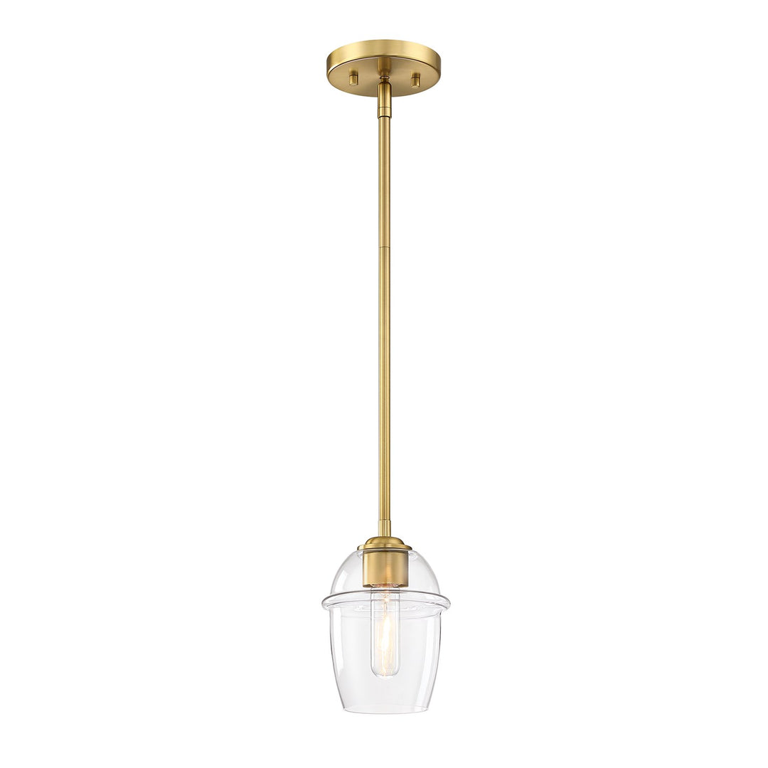 1 Light Pendant