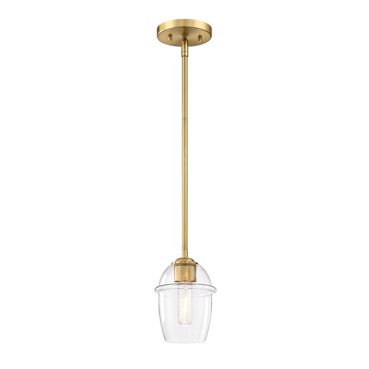 1 Light Pendant