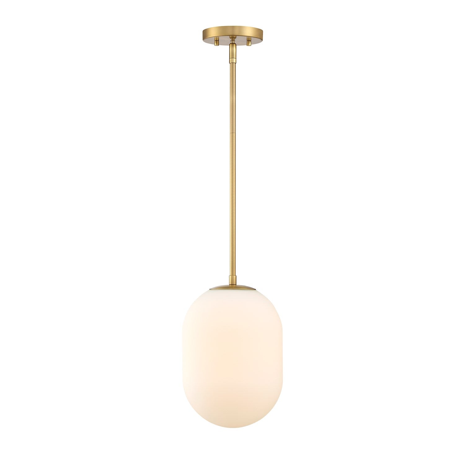 1 Light Pendant