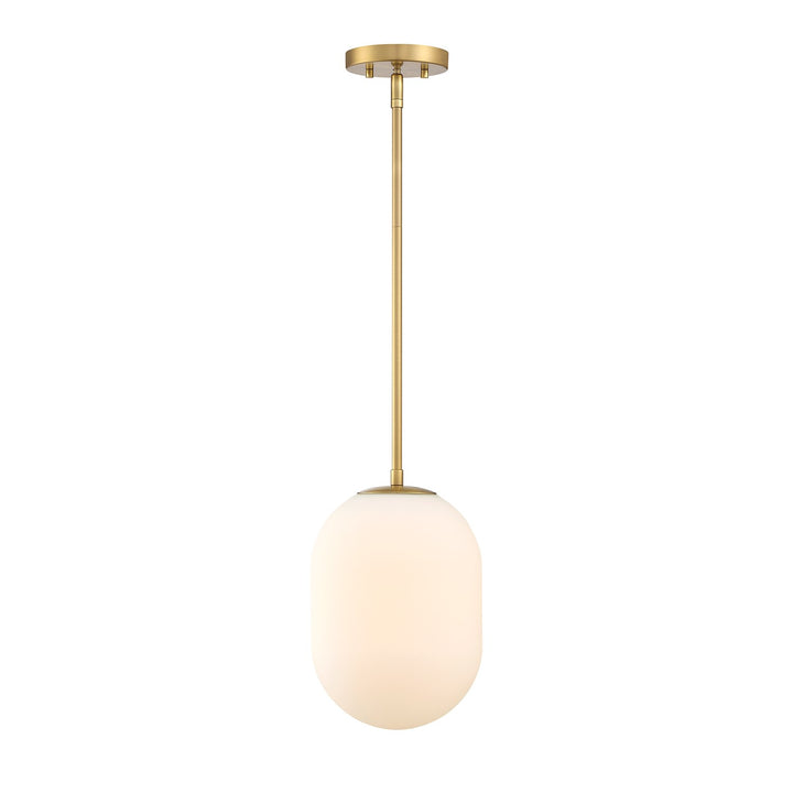 1 Light Pendant
