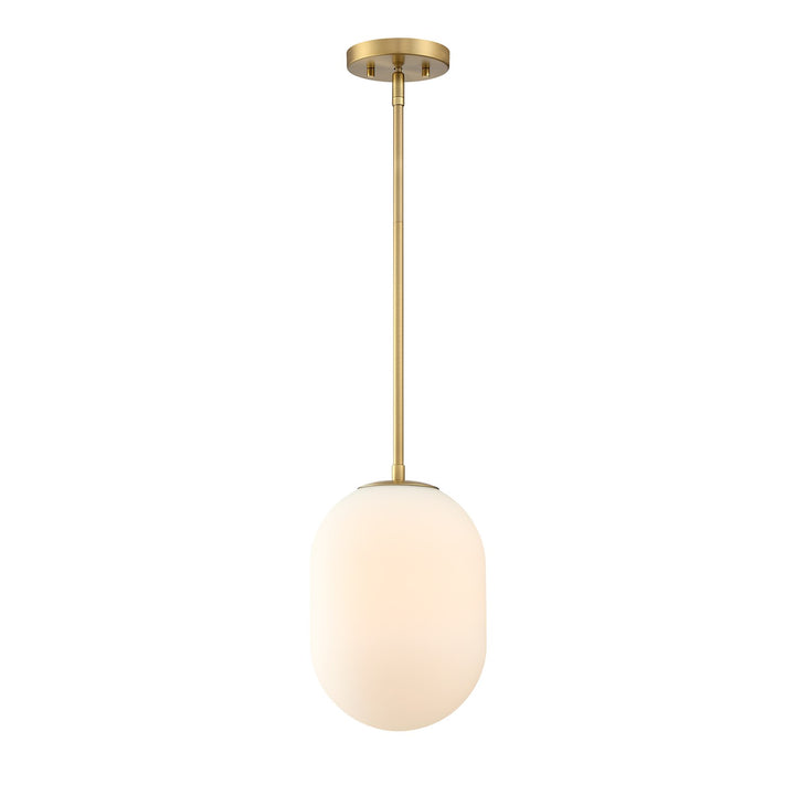 1 Light Pendant