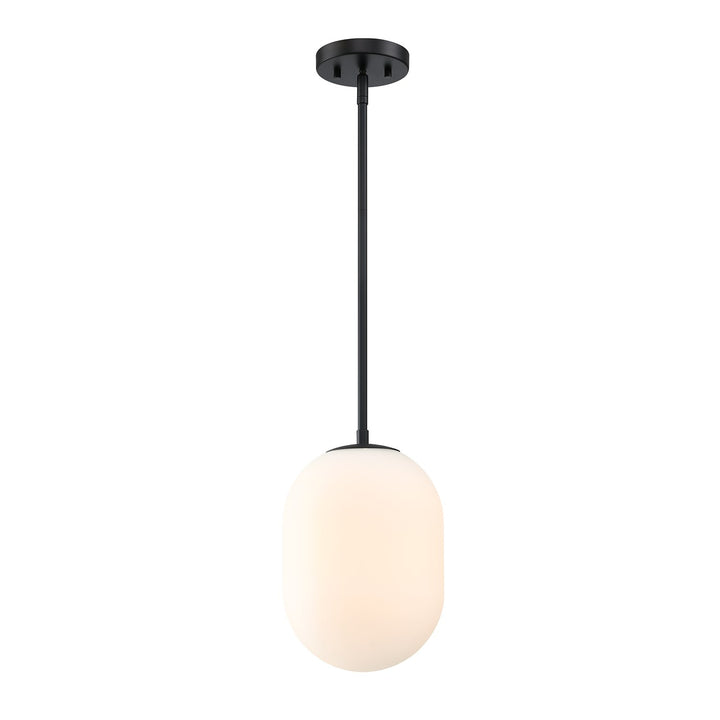 1 Light Pendant