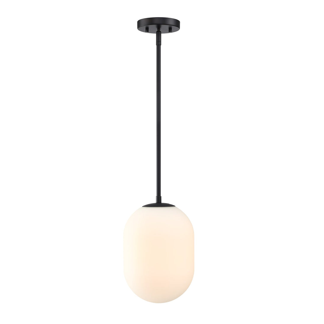 1 Light Pendant