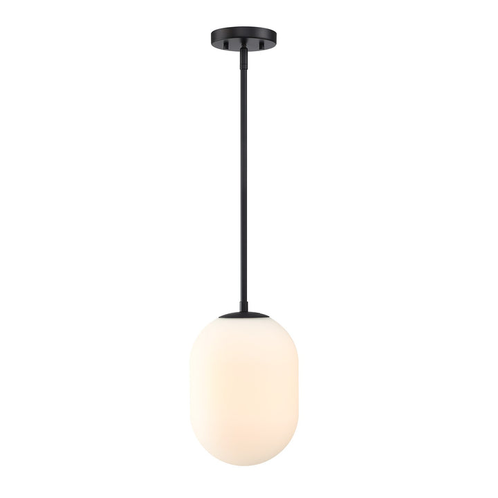 1 Light Pendant
