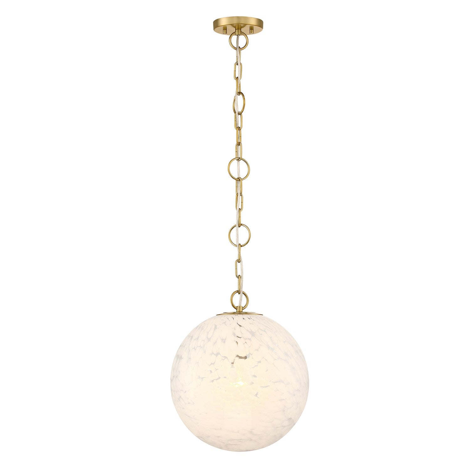 1 Light Pendant
