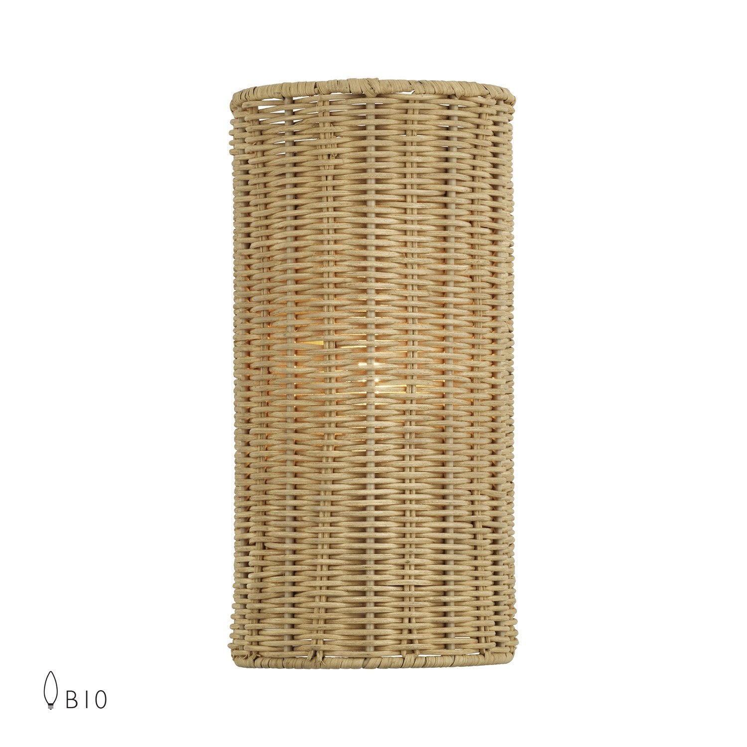 1 Light Antique Gold Leaf Ada Sconce by Livex Lighting