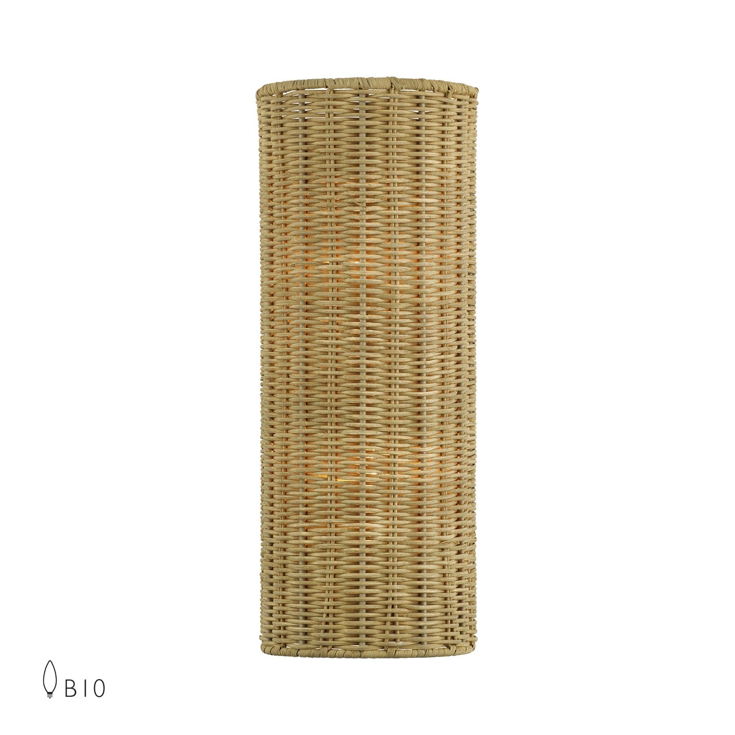 2 Light Antique Gold Leaf Ada Sconce by Livex Lighting