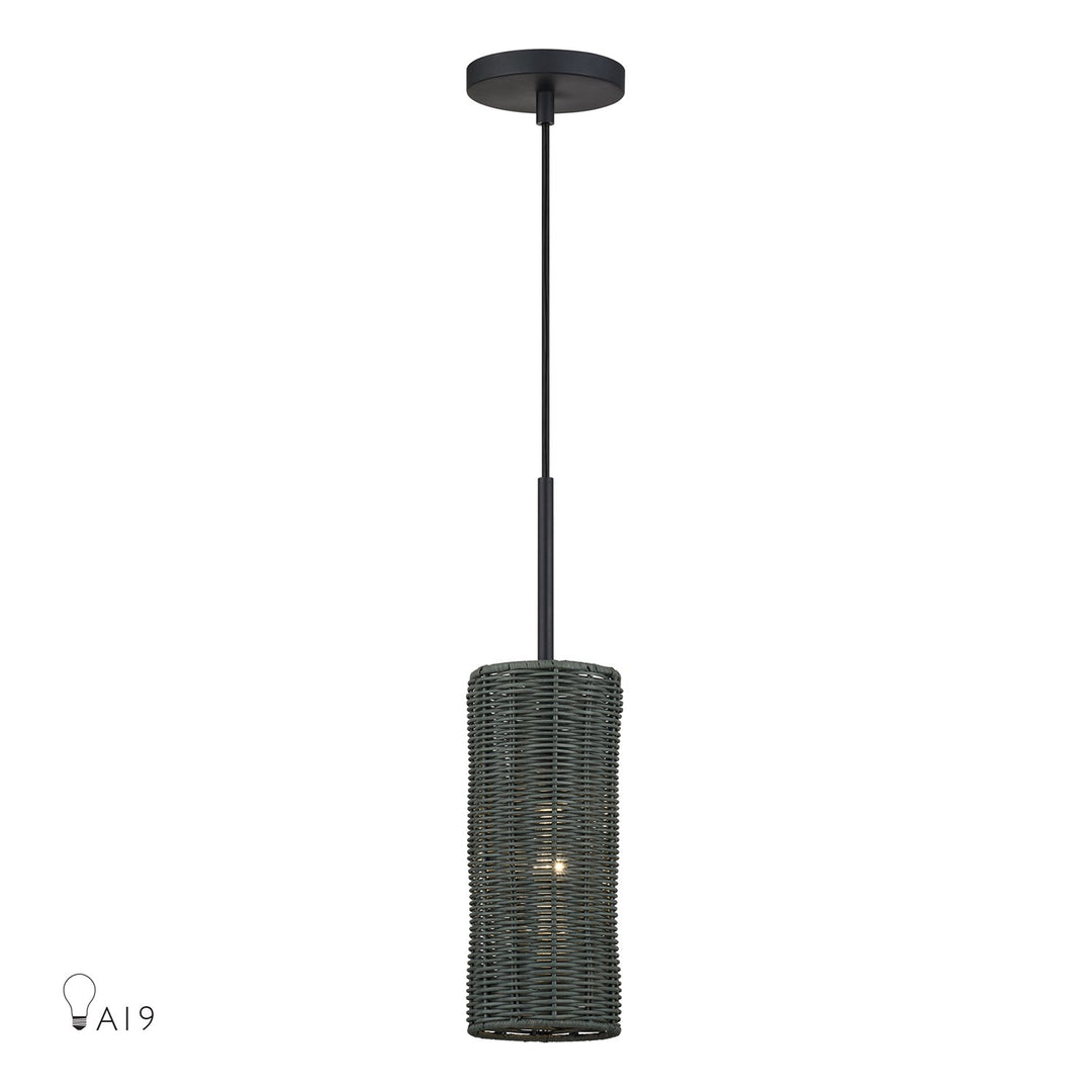 1 Light Black Mini Pendant by Livex Lighting