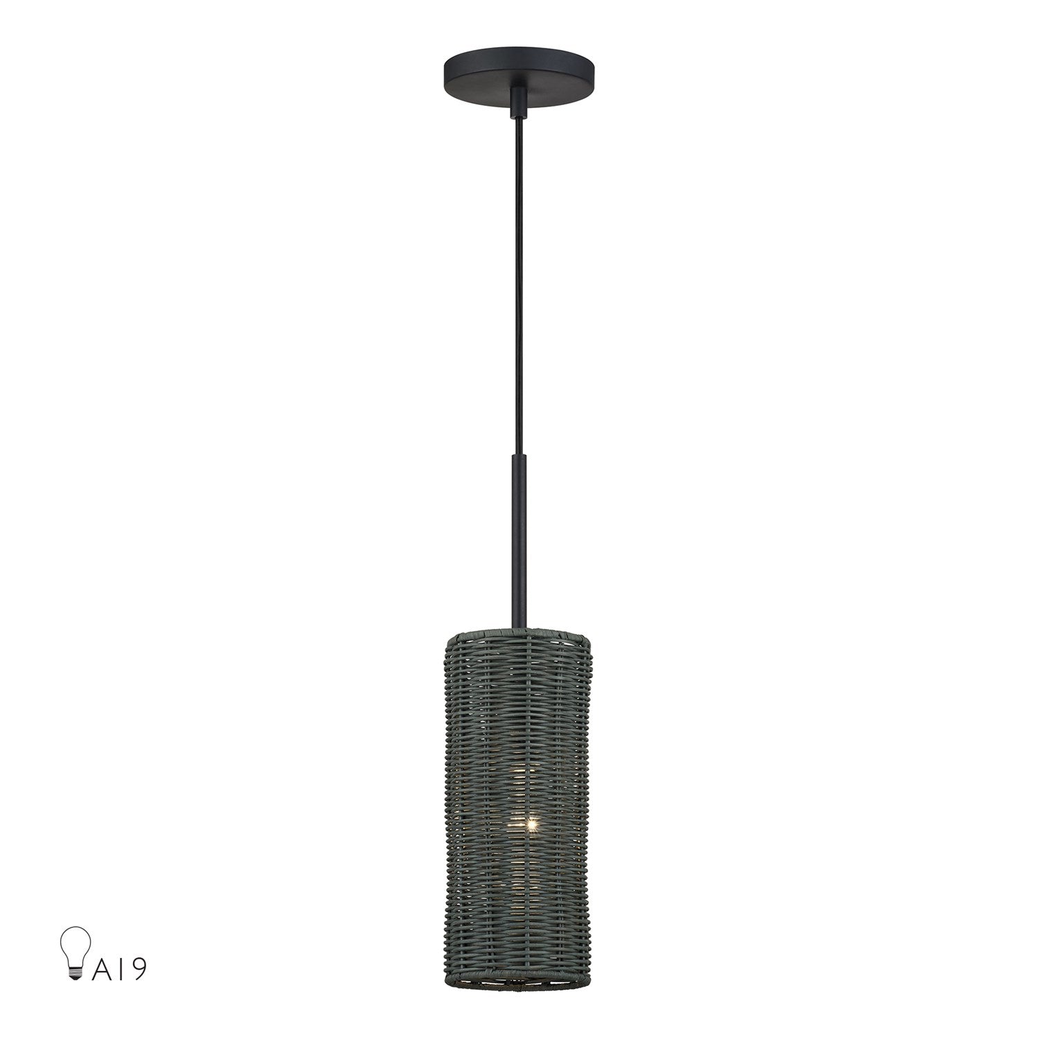 1 Light Black Mini Pendant by Livex Lighting