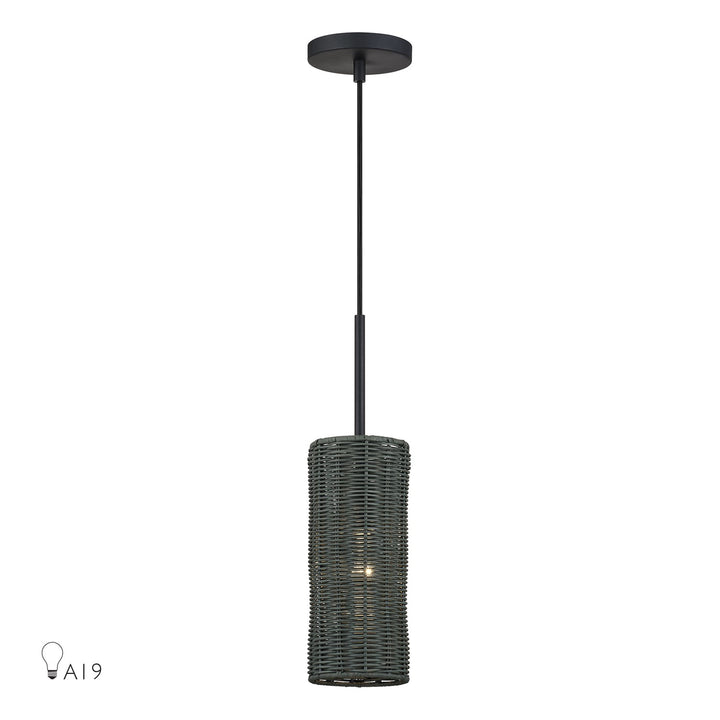 1 Light Black Mini Pendant by Livex Lighting