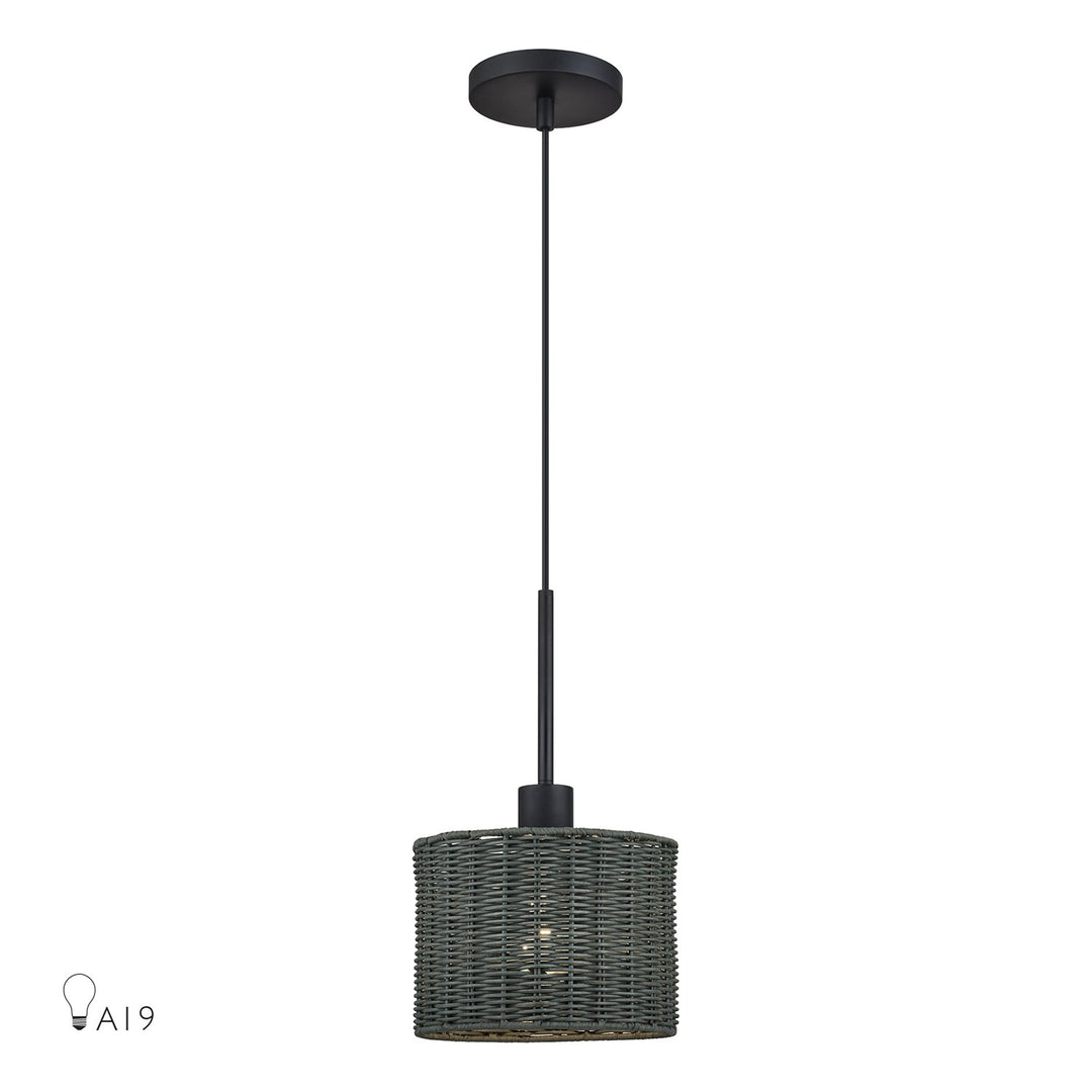 1 Light Black Mini Pendant by Livex Lighting