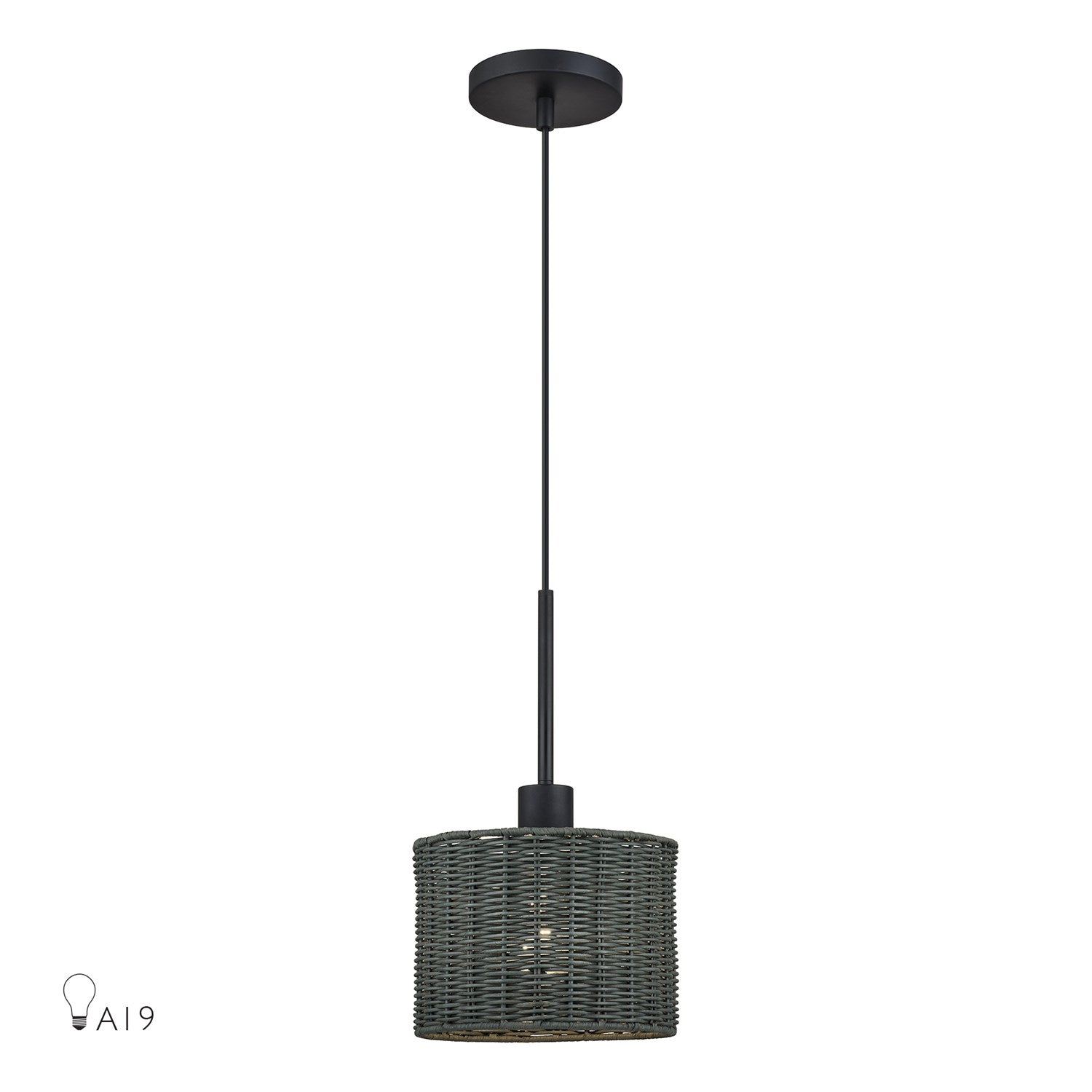 1 Light Black Mini Pendant by Livex Lighting