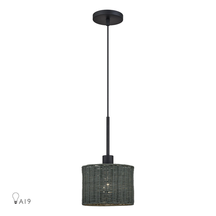 1 Light Black Mini Pendant by Livex Lighting