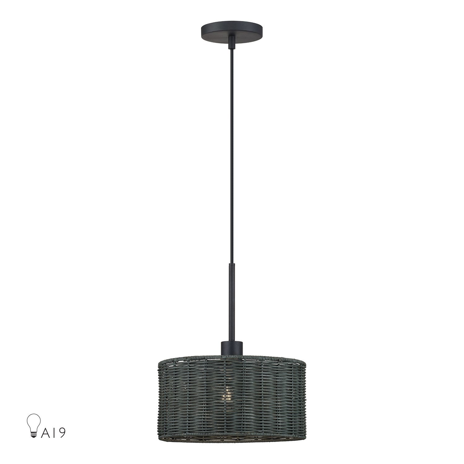 1 Light Black Pendant by Livex Lighting