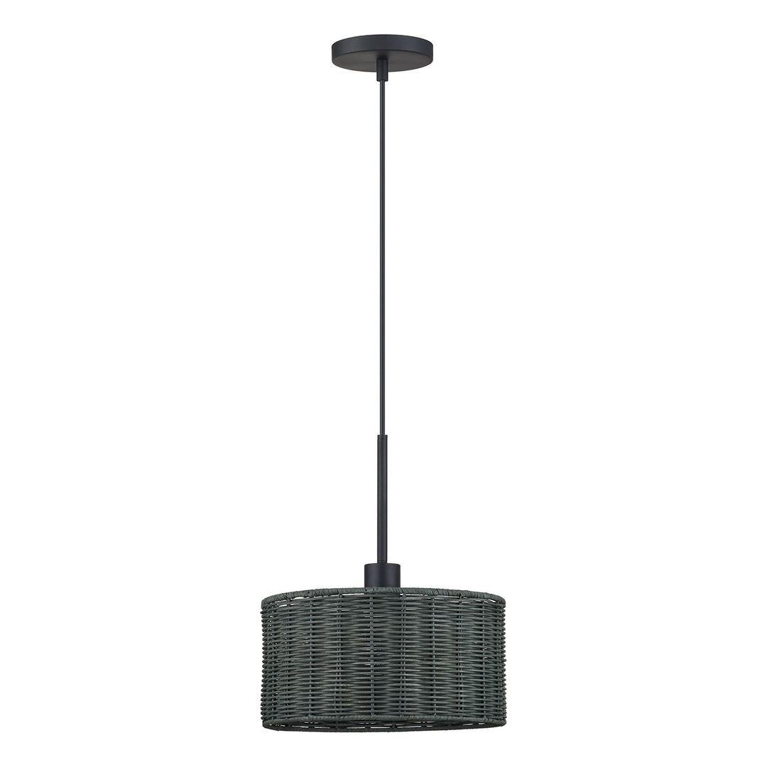 1 Light Black Pendant