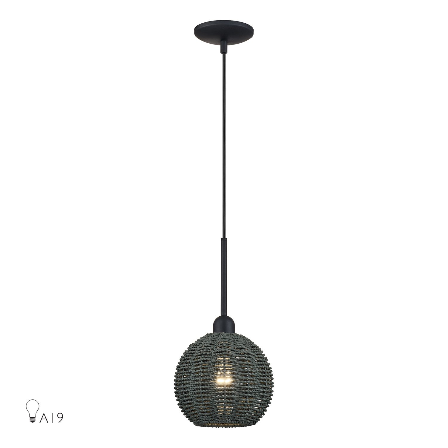 1 Light Black Mini Globe Pendant by Livex Lighting