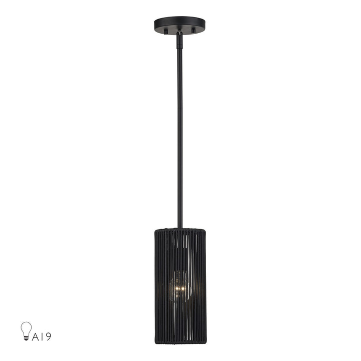 1 Light Black Mini Pendant by Livex Lighting