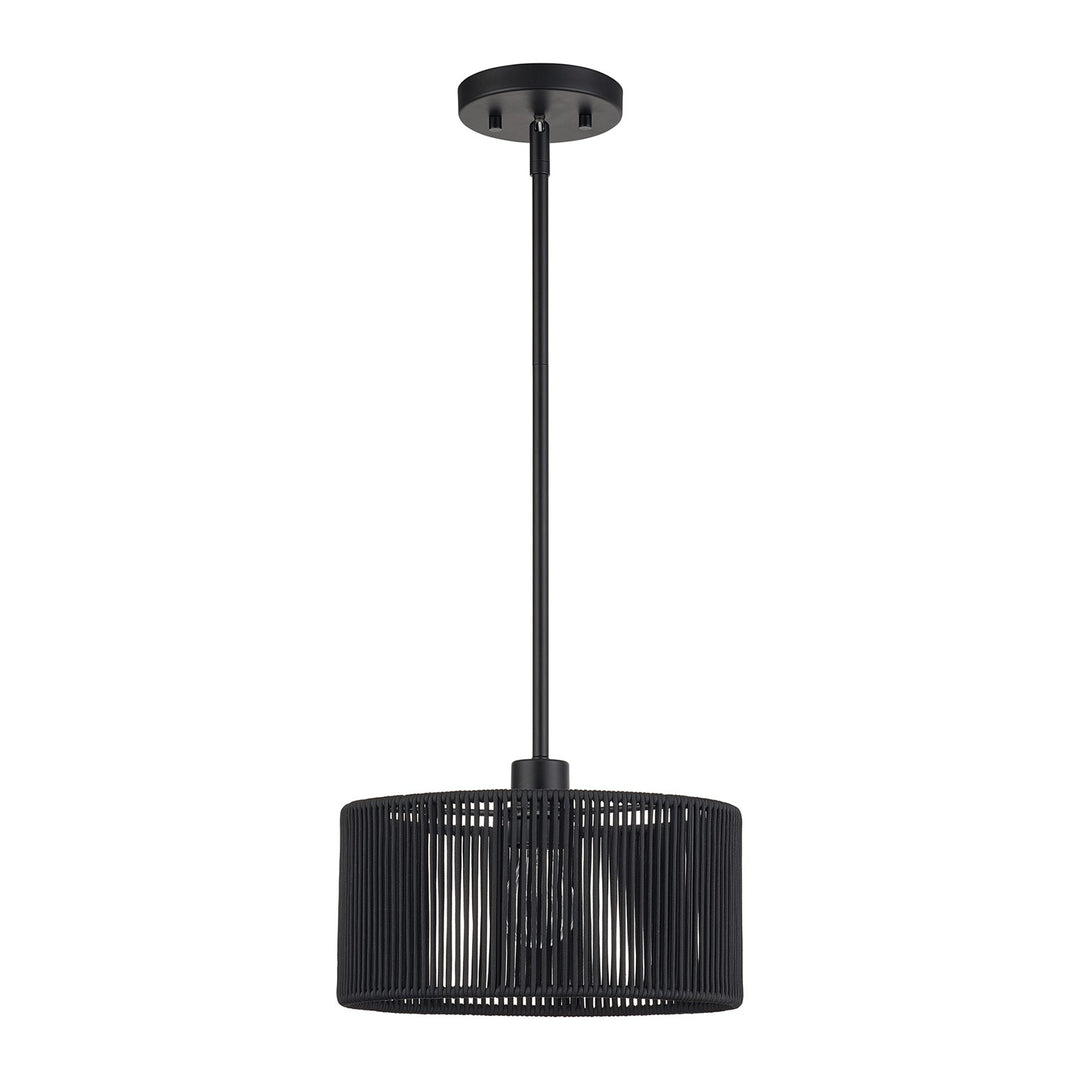 1 Light Black Pendant