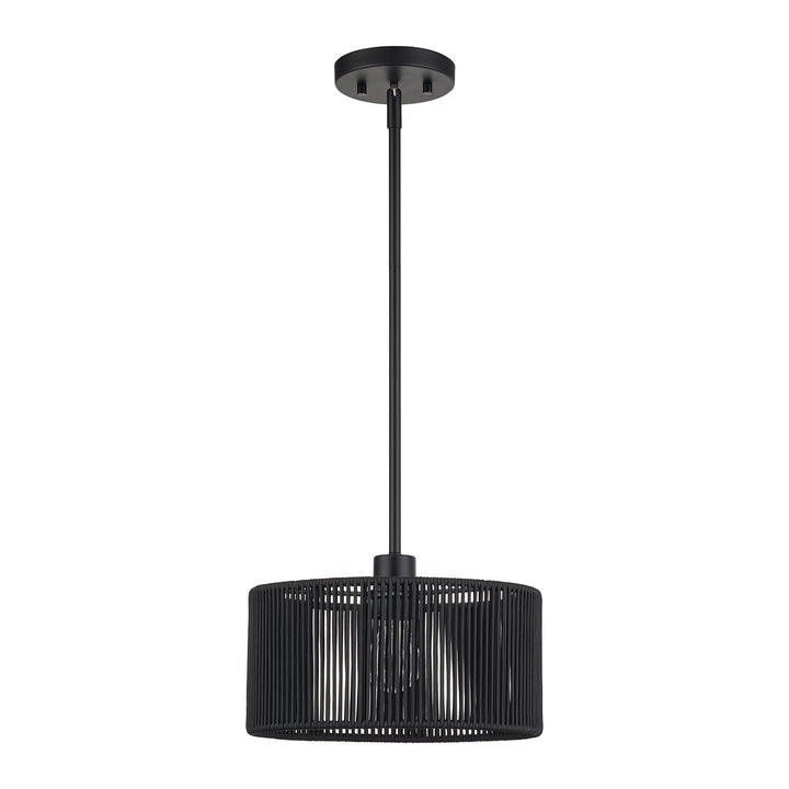 1 Light Black Pendant