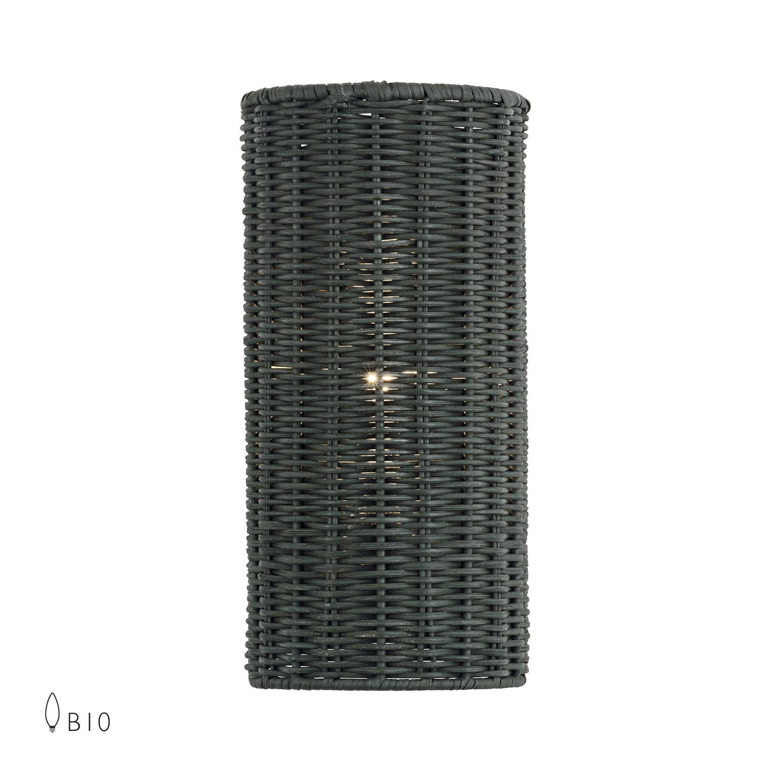 1 Light Brushed Nickel Ada Sconce by Livex Lighting
