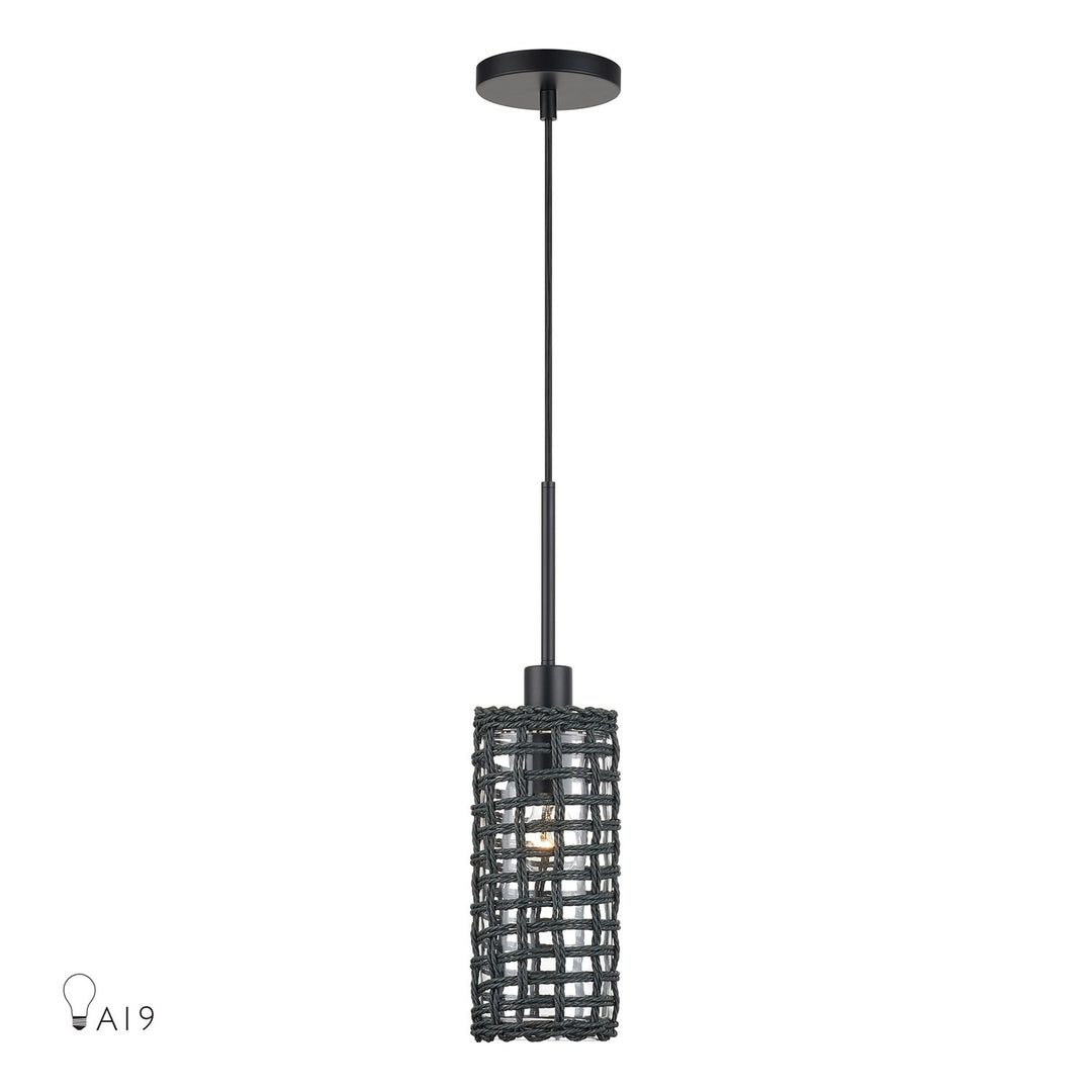 1 Light Black Mini Pendant by Livex Lighting
