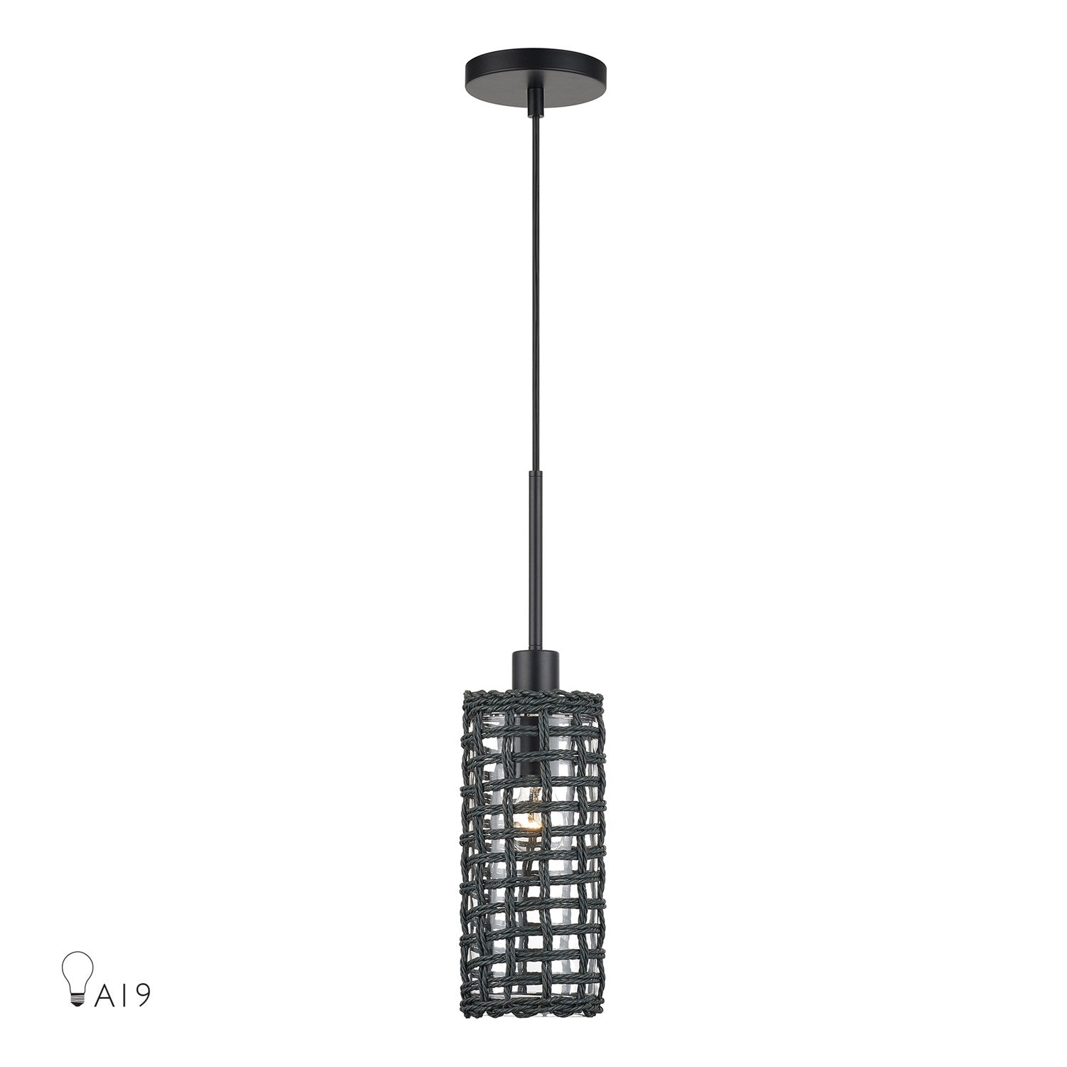 1 Light Black Mini Pendant by Livex Lighting