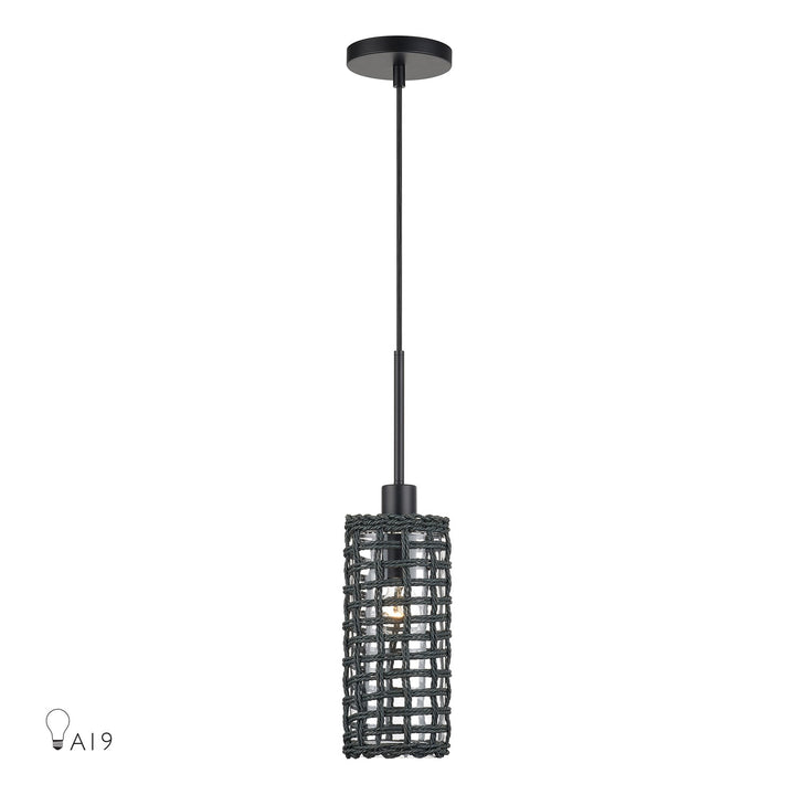 1 Light Black Mini Pendant by Livex Lighting