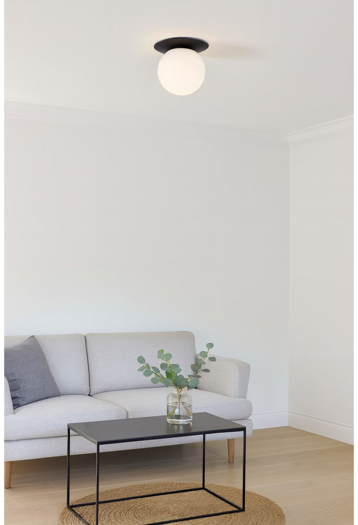 1 Light Matte Black Incandescent Wall Sconce With White Glass Globe