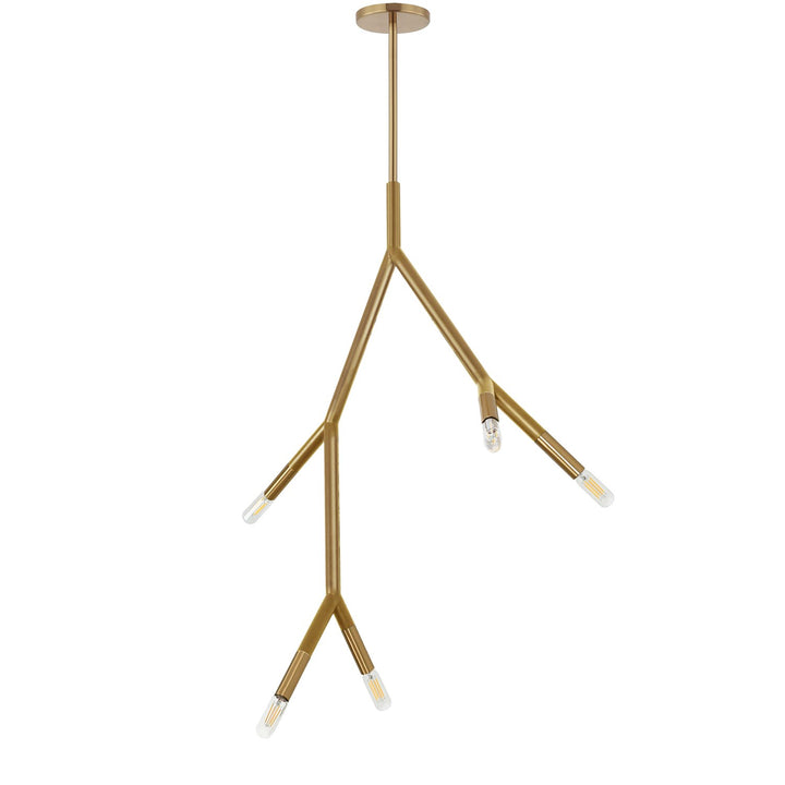 5 Light Incandescent Pendant In Aged Brass by Dainolite