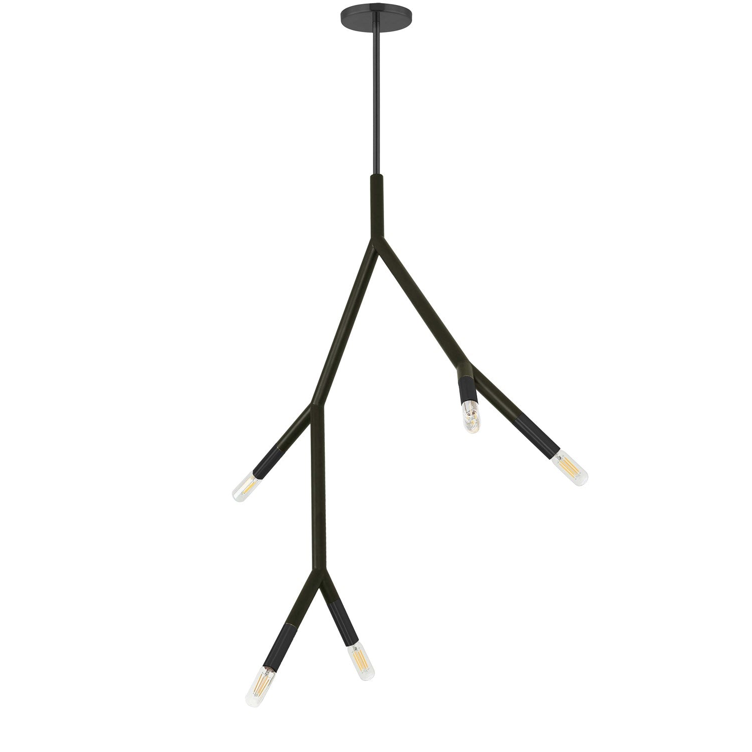 5 Light Incandescent Pendant In Matte Black by Dainolite