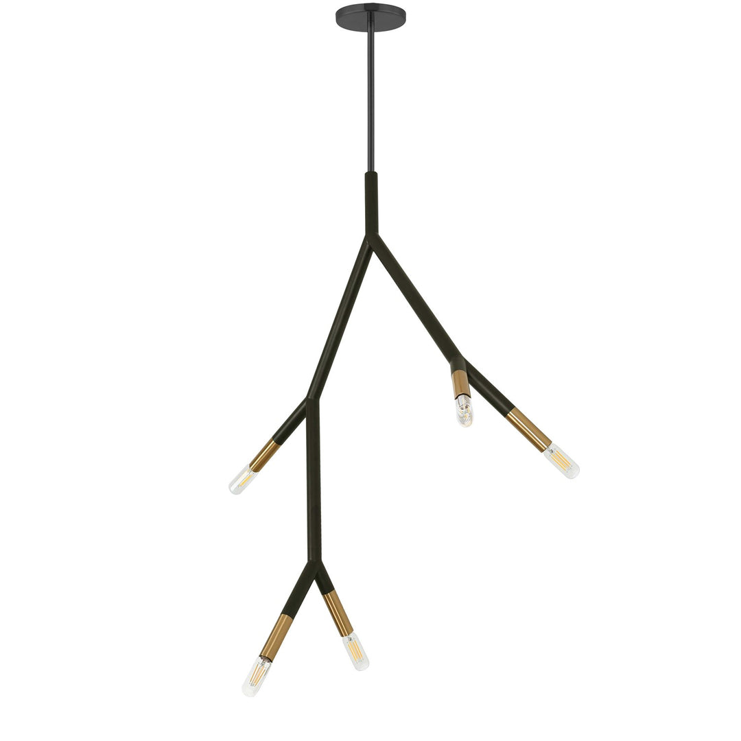 5 Light Incandescent Pendant In Matte Black