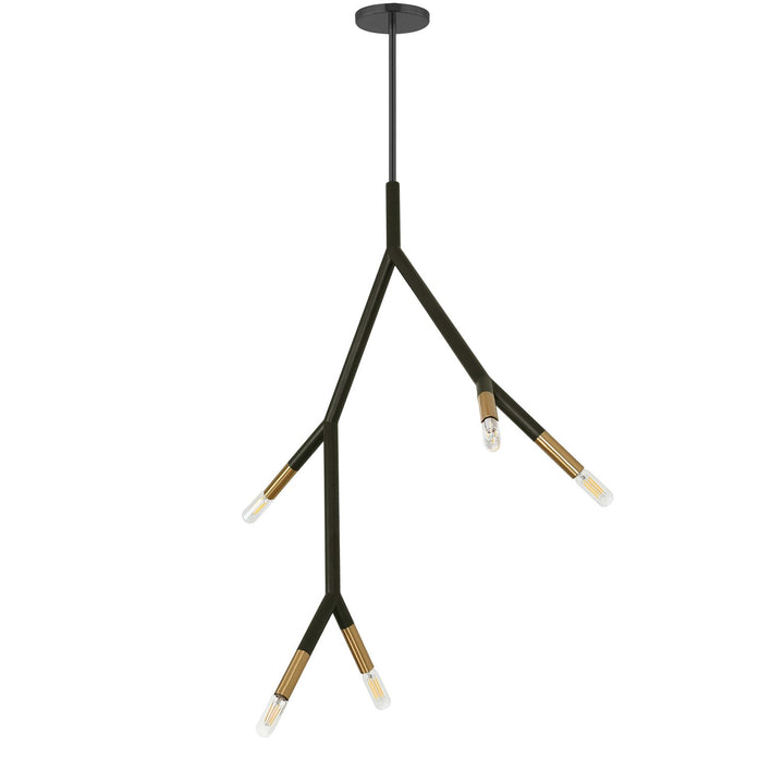 5 Light Incandescent Pendant In Matte Black
