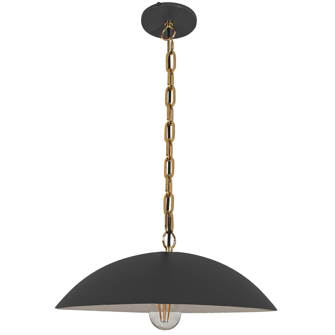 1 Light Pendant In Matte Black W/ Aged Brass Chain by Dainolite