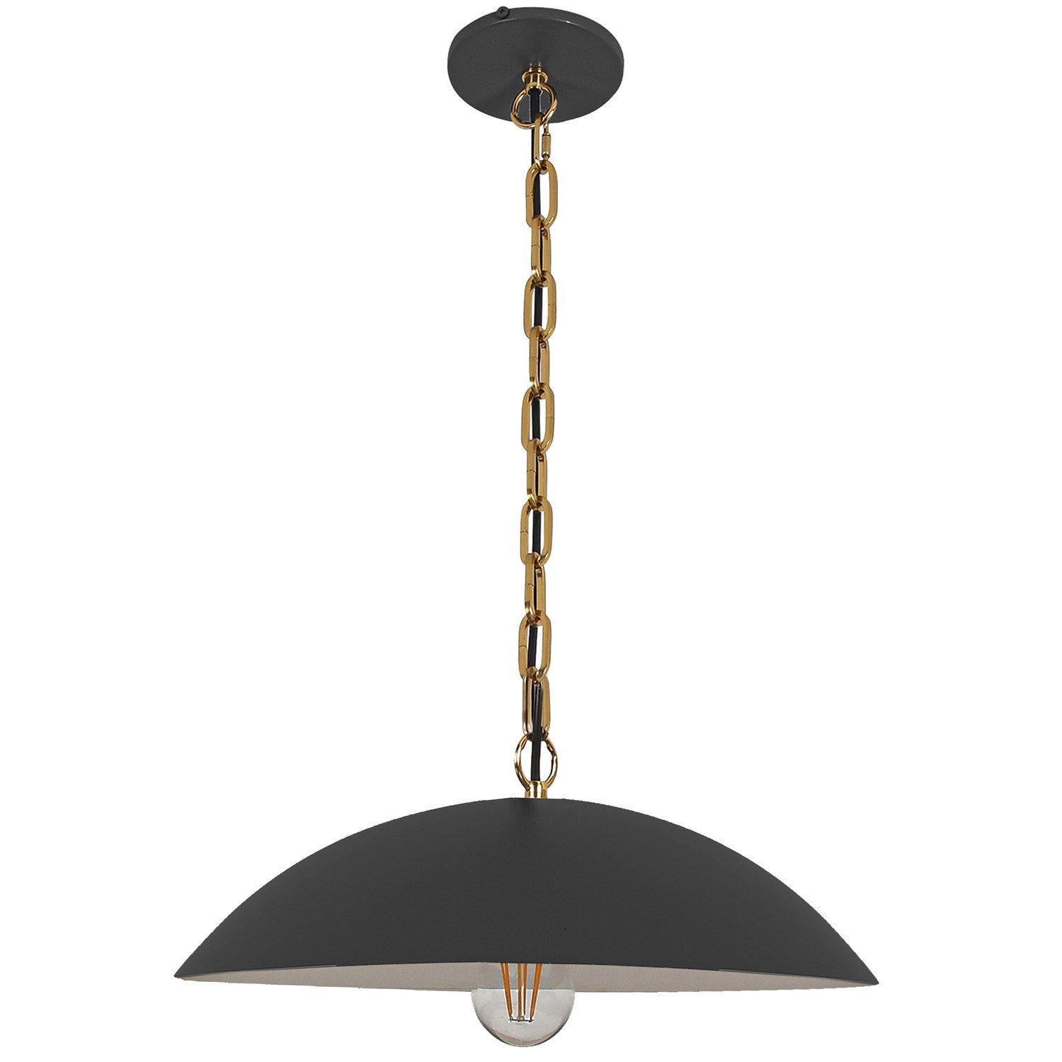 1 Light Pendant In Matte Black W/ Aged Brass Chain by Dainolite
