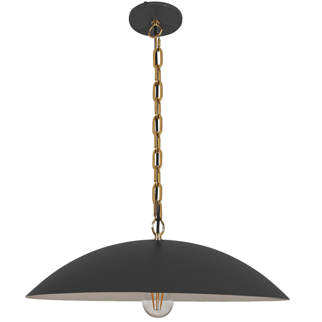 1 Light Pendant In Matte Black W/ Aged Brass Chain by Dainolite