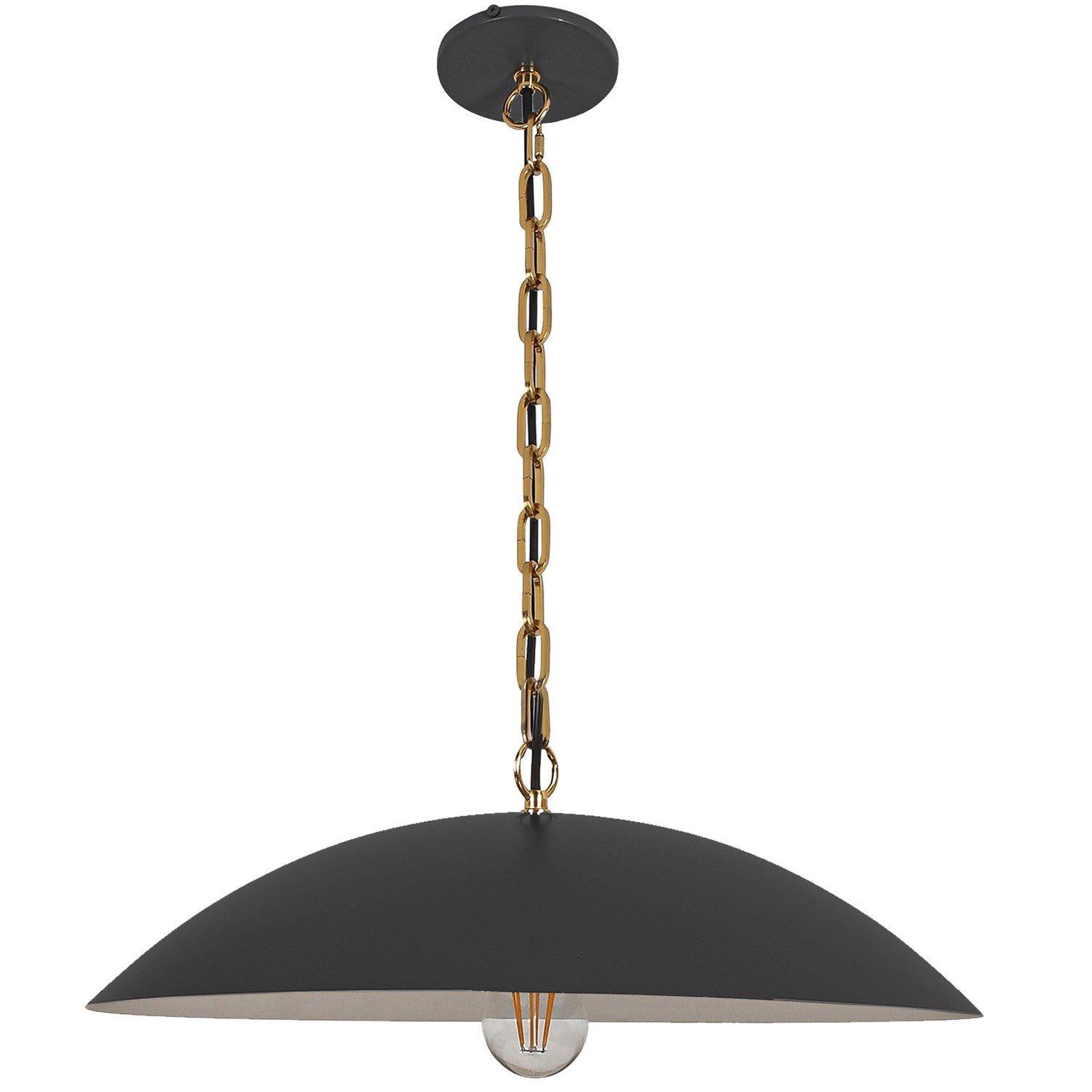 1 Light Pendant In Matte Black W/ Aged Brass Chain by Dainolite