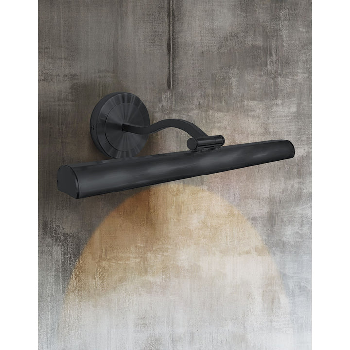 20W Matte Black Picture Light