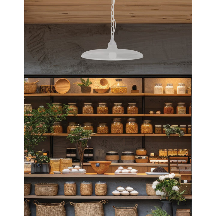 1 Light Incandescent Pendant Matte White