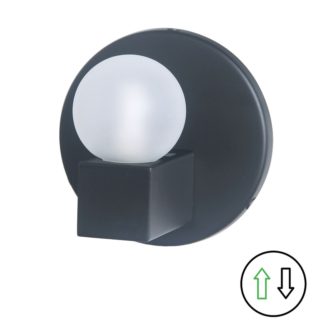 1 Light Matte Black Vanity W/ Frosted Glass by Dainolite