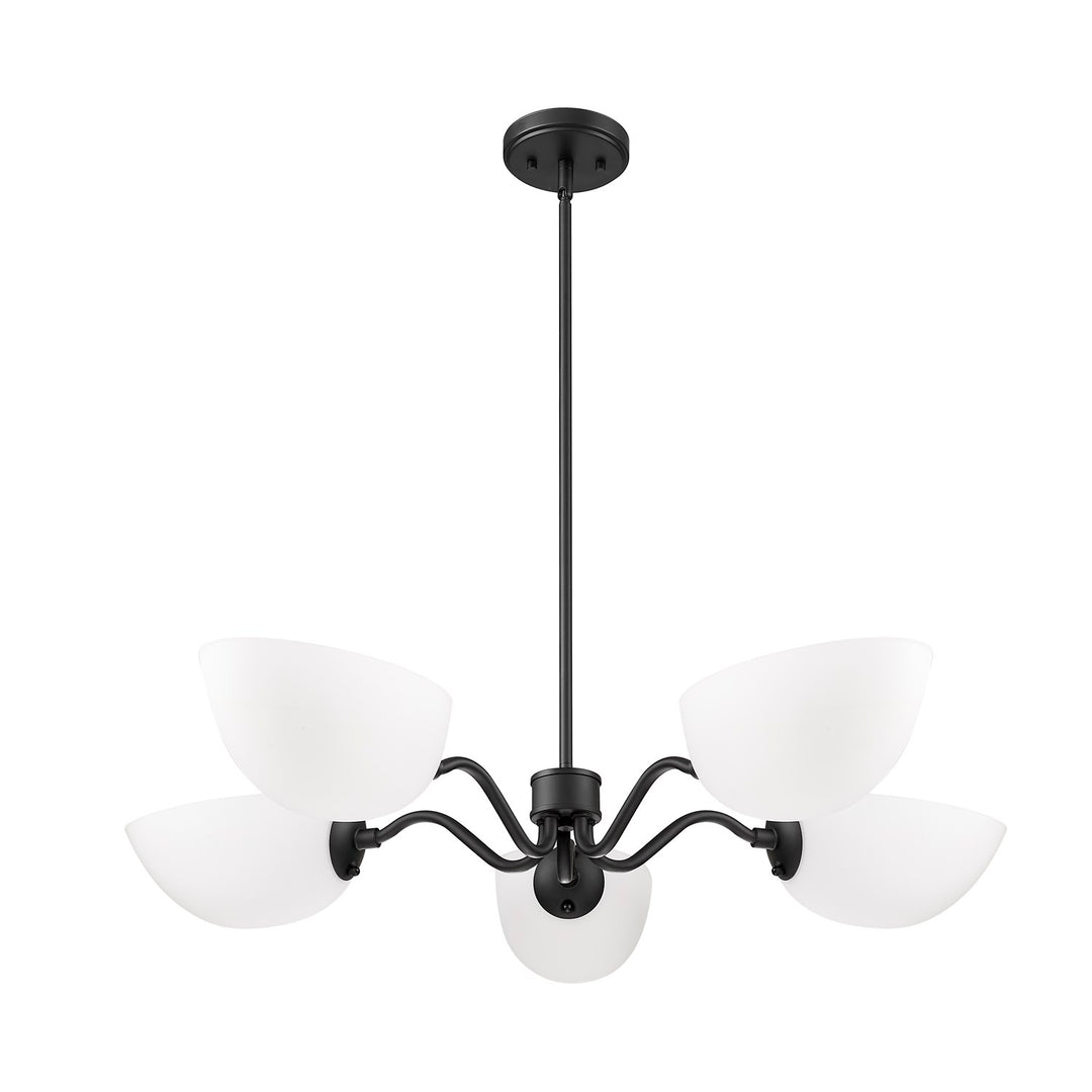 5 Light Chandelier