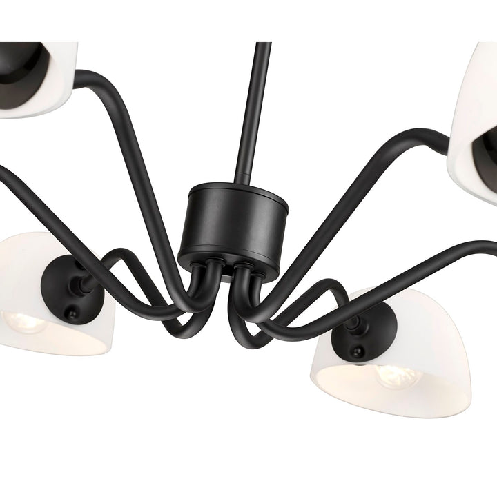 6 Light Chandelier