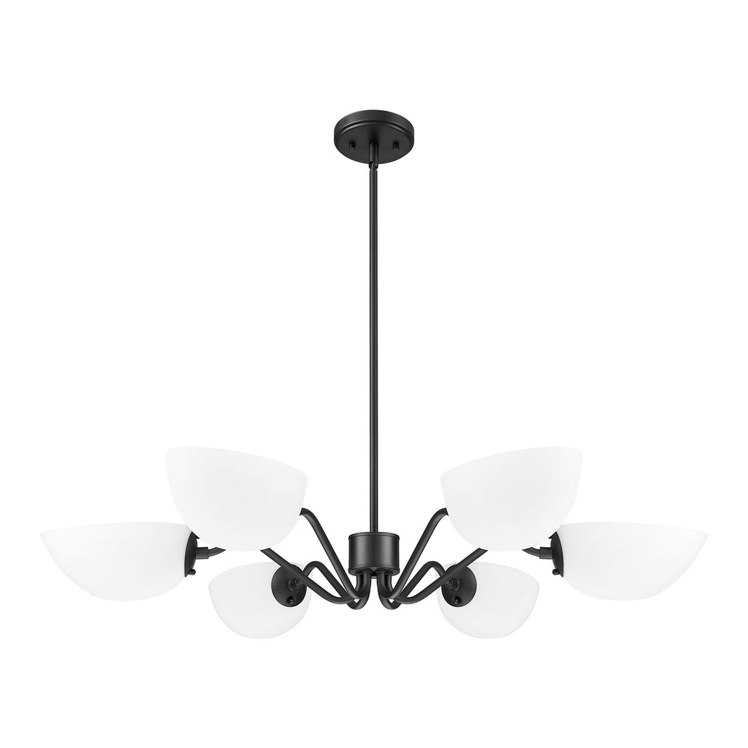 6 Light Chandelier