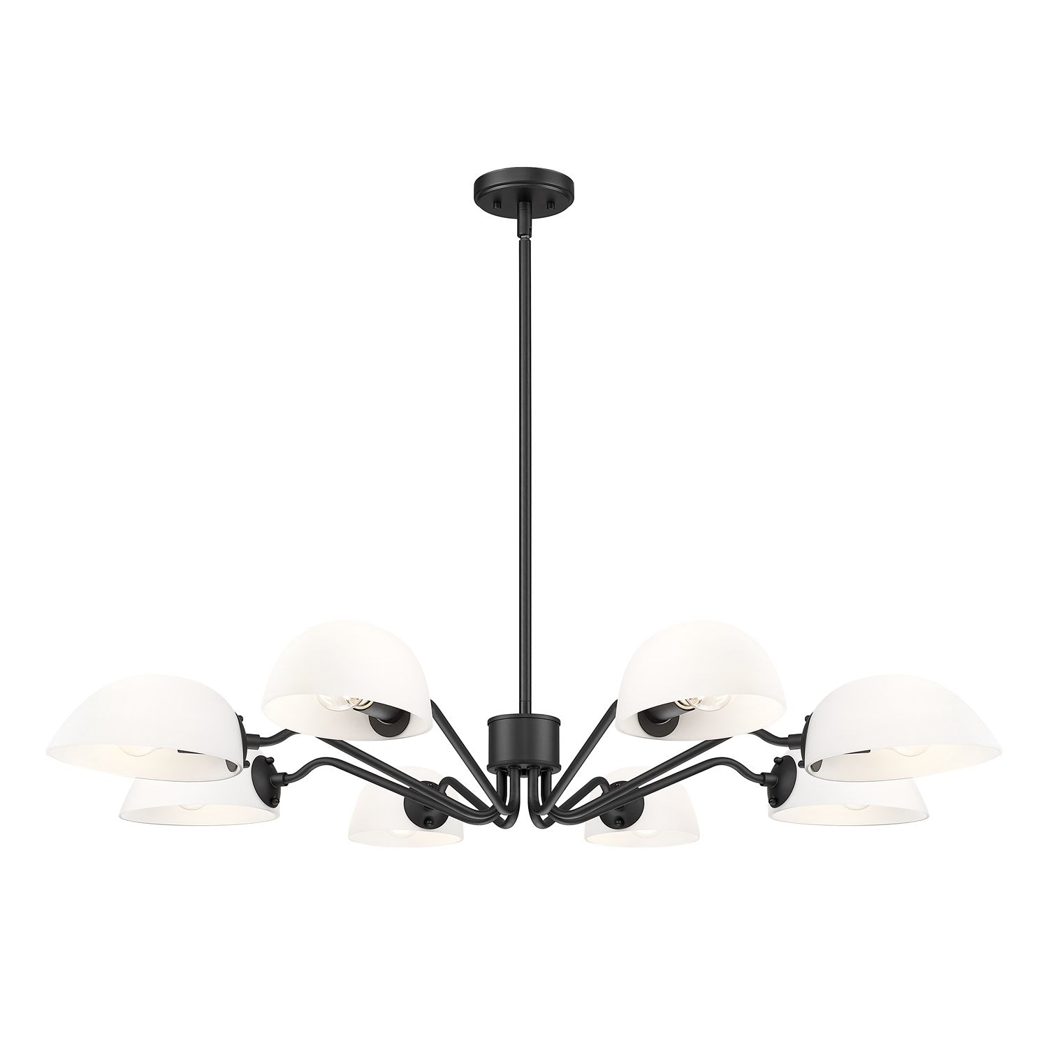 8 Light Chandelier by Z-Lite