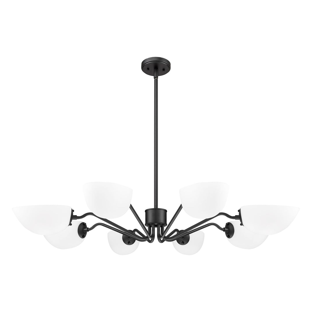 8 Light Chandelier
