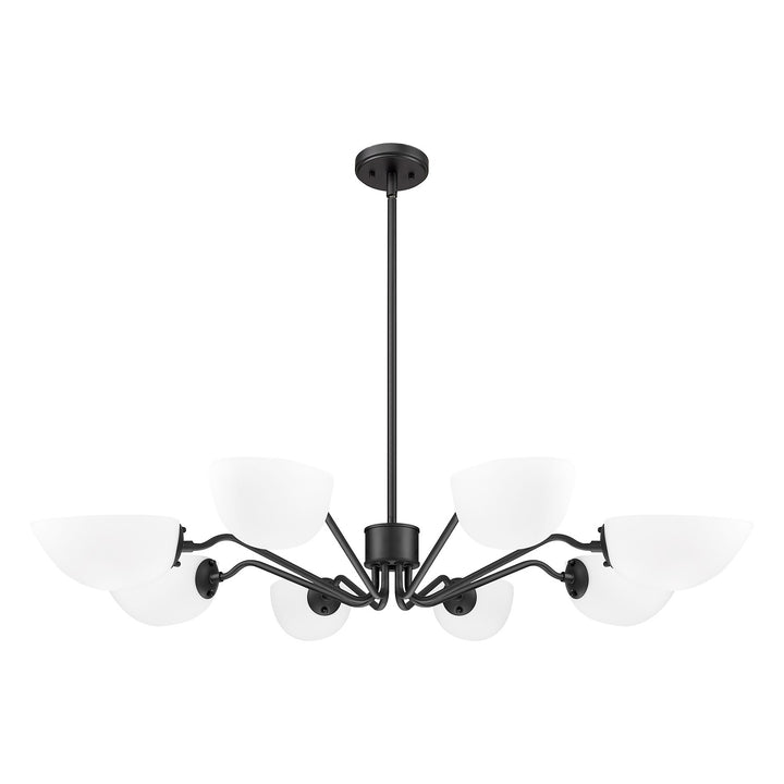 8 Light Chandelier