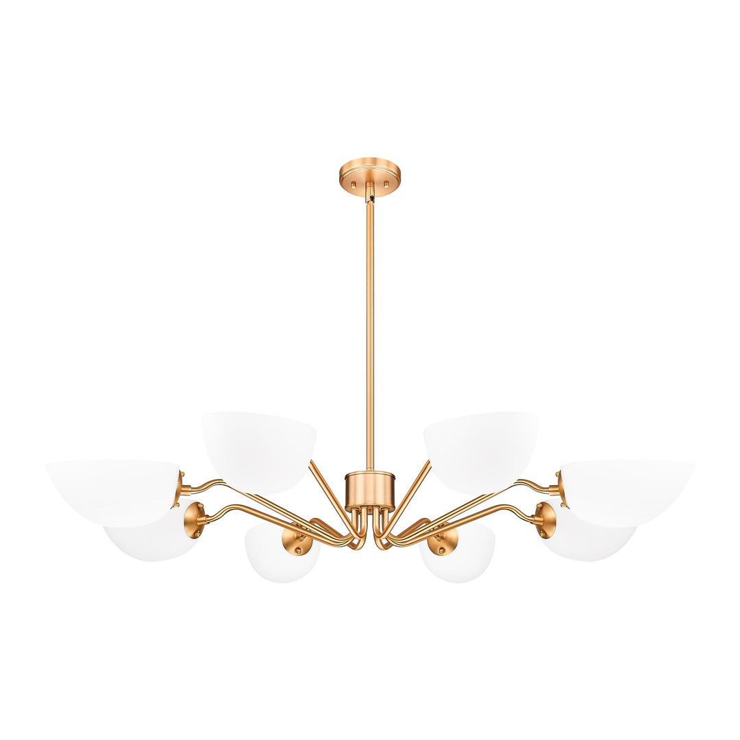 8 Light Chandelier