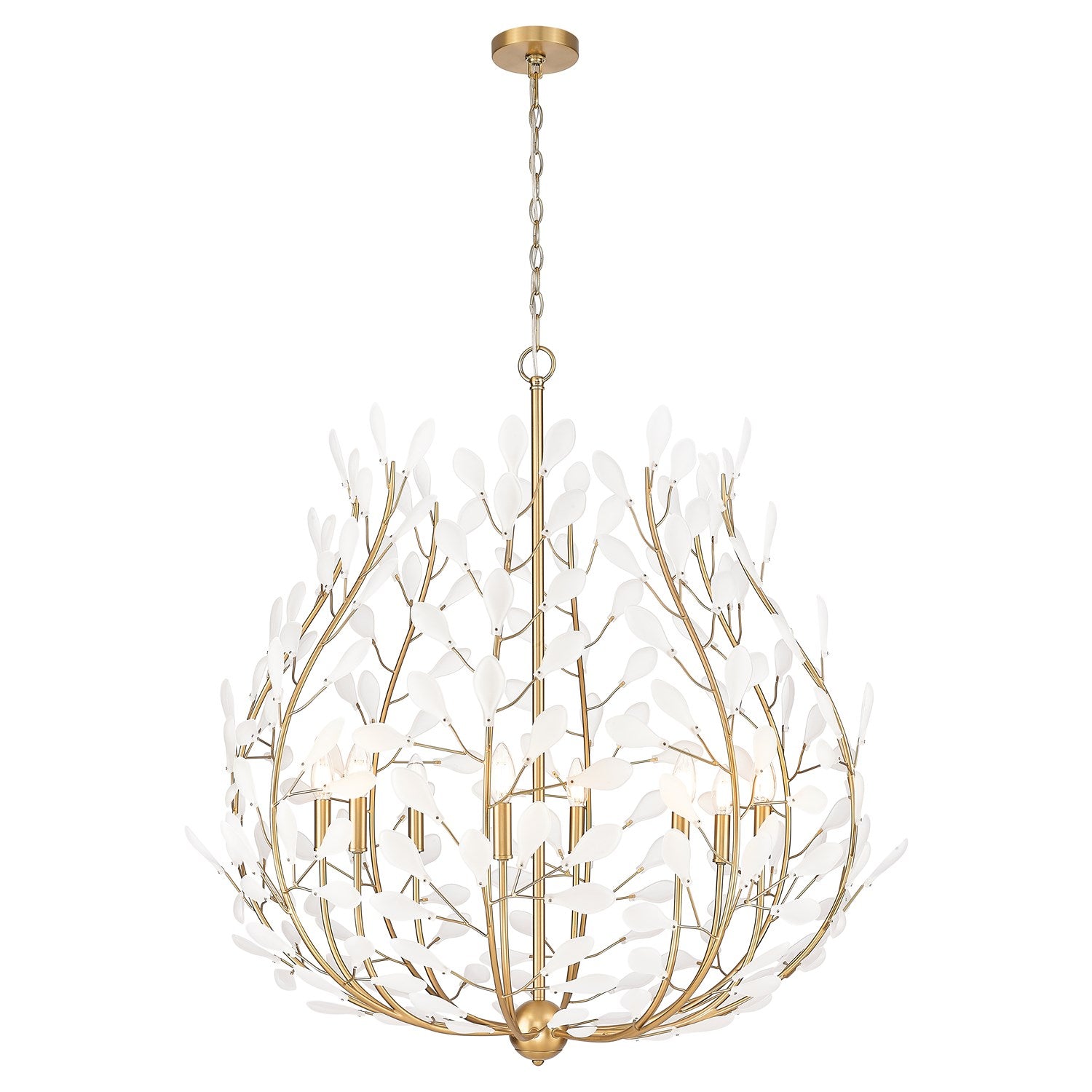 8 Light Chandelier by Z-Lite