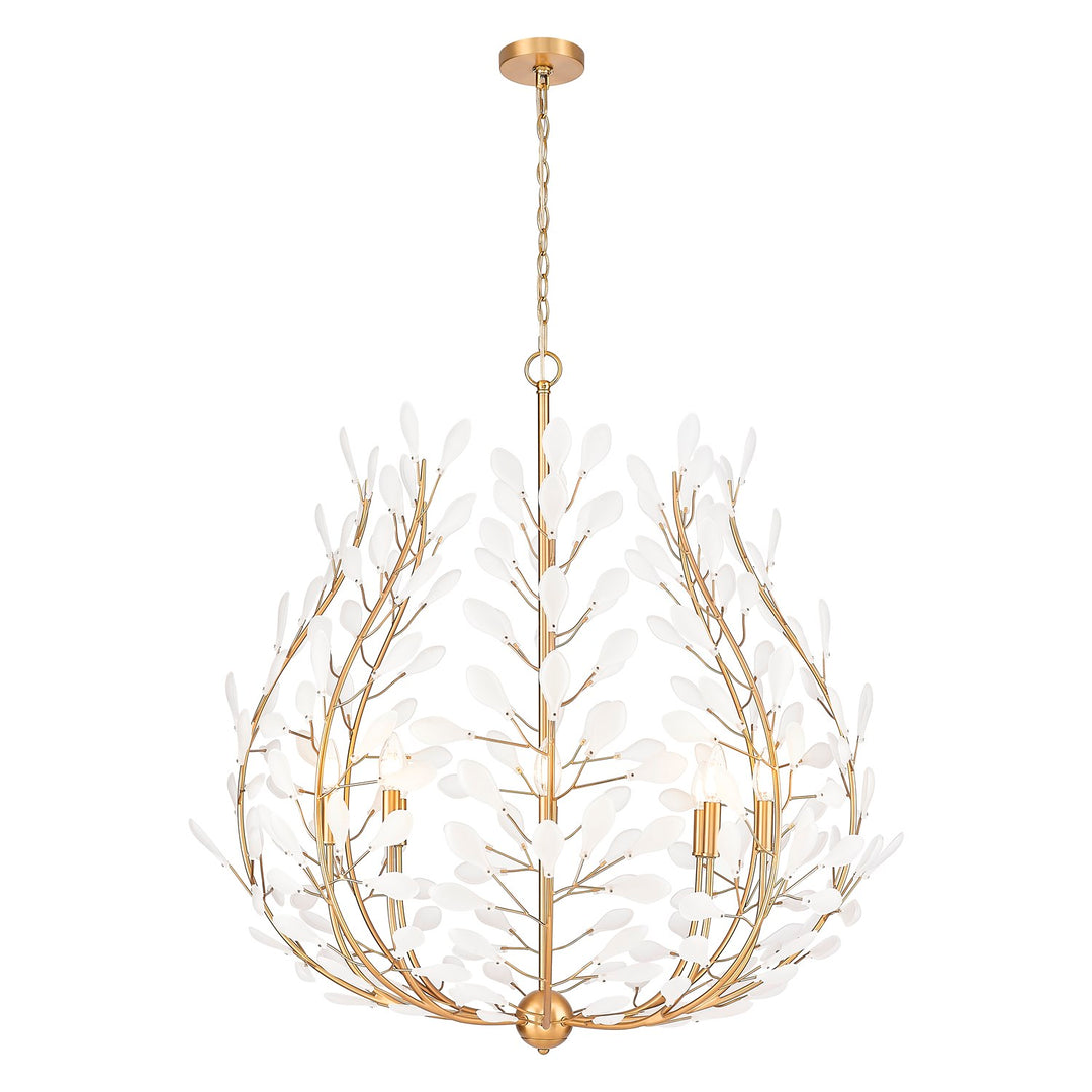 8 Light Chandelier